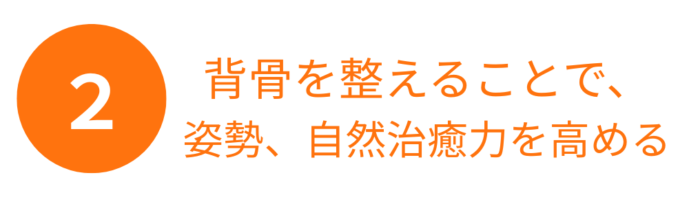 alt="こだわり2：背骨の動きを整えて姿勢を改善し、自然治癒力を高めるもみじおく整骨院の施術方針"