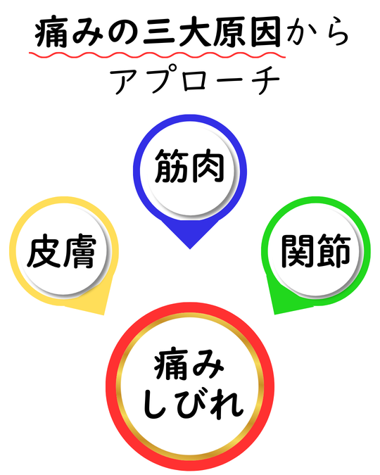 alt="痛みの三大原因である皮膚・筋肉・関節にアプローチし、痛みやしびれを改善する施術方針の図解"